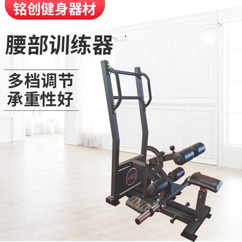 工厂直供商用站式顶髋健身房臀腿塑型训练健身工作室腰部训练器