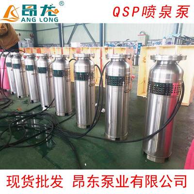 QS/QSP不锈钢水泵喷泉泵QS65-10-3充水景观专用喷泉潜水泵大流量