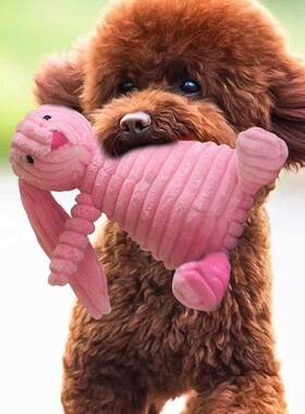 Toys for Dogs Squeaky Puppy Play Chew Interactive Dog Toy