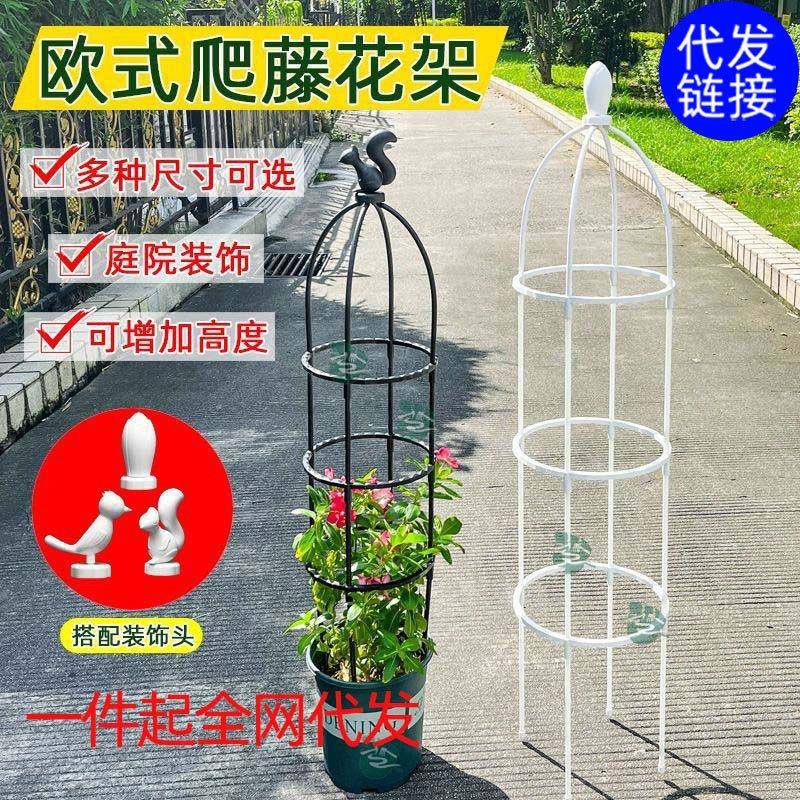花架爬藤架子铁线莲月季花支架花盆植物攀爬支架室内山乌龟支撑杆图片