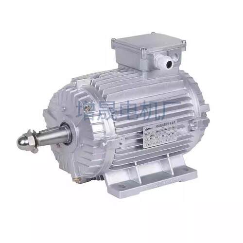 MSW铝壳耐高温高湿三相电机 MSW100L-2 3KW 高温电机