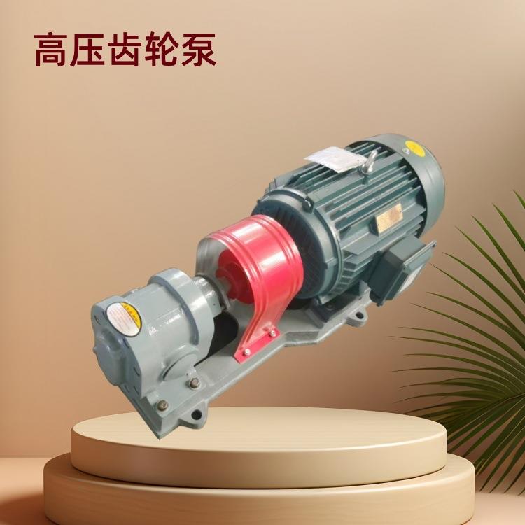 高压齿轮泵防爆齿轮泵便携2CY齿轮油泵燃油输送泵抽油泵现货
