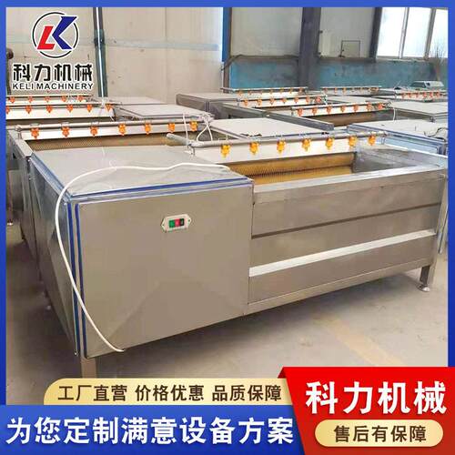 多功能毛辊刷去皮清洗机 萝卜清洗机 圆葱清洗机科力供应