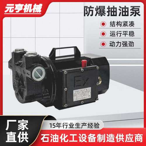 不锈钢手提式便携电动直流防爆抽油泵220V750W工业汽油柴油抽油泵
