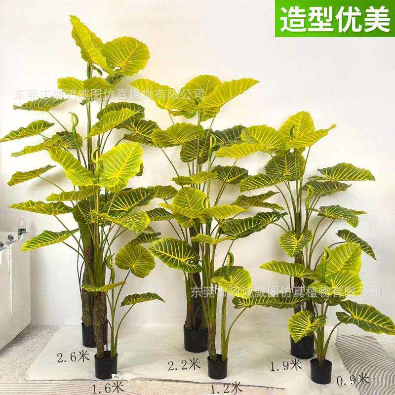 仿真黄金芋海芋盆景大型仿真绿植喜林芋家居软装春羽造景装饰组合