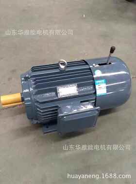 B6安装轴上YSF电机YT-160L-2-18.5kw电机外观时尚美观有品位
