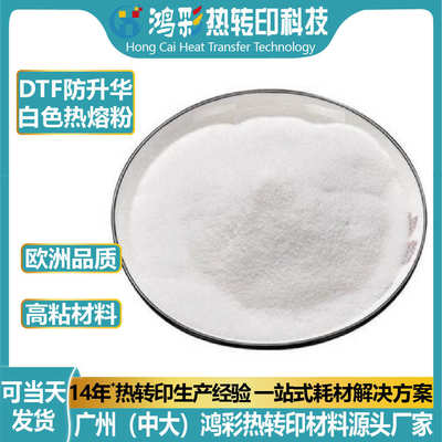 200g500g1kgdtf白色防升华热熔胶粉服装烫画专用弹性高粘热熔粉末