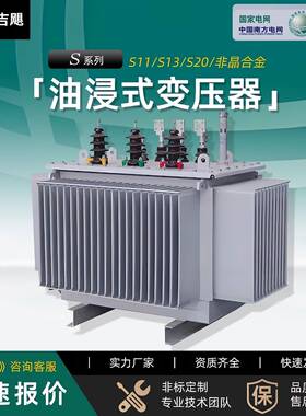s11/s13/s20-200-630KVA油浸式变压器铜铝三相高压电力变压器10kv