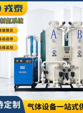 PSA工业制氮机制氮设备生产冶金制氮设备氮气发生器99%氮气