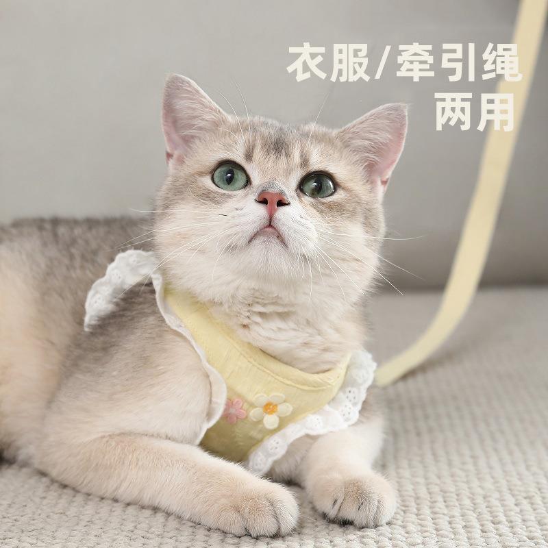 猫咪牵引绳防挣脱外出专用溜猫背心式抱婴袋小型犬小猫猫防丢遛猫