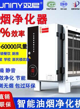 双尼商用油烟净化器除烟除味饭店厨房油烟净化器高效油烟净化机组