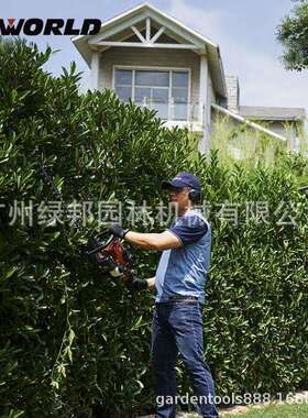沃得WORLD二冲程汽油绿篱机WT6010双刃整篱笆机 园艺造型修理机