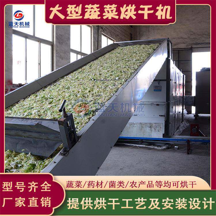 大型蔬菜烘干机网带木瓜丝木薯切片脱水烘干线萝卜红薯条干燥机