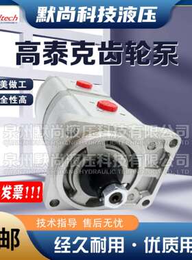 高泰克Galtech齿轮马达2SM-G-140-D-EUR-H-N-10-G齿轮泵 液压马达