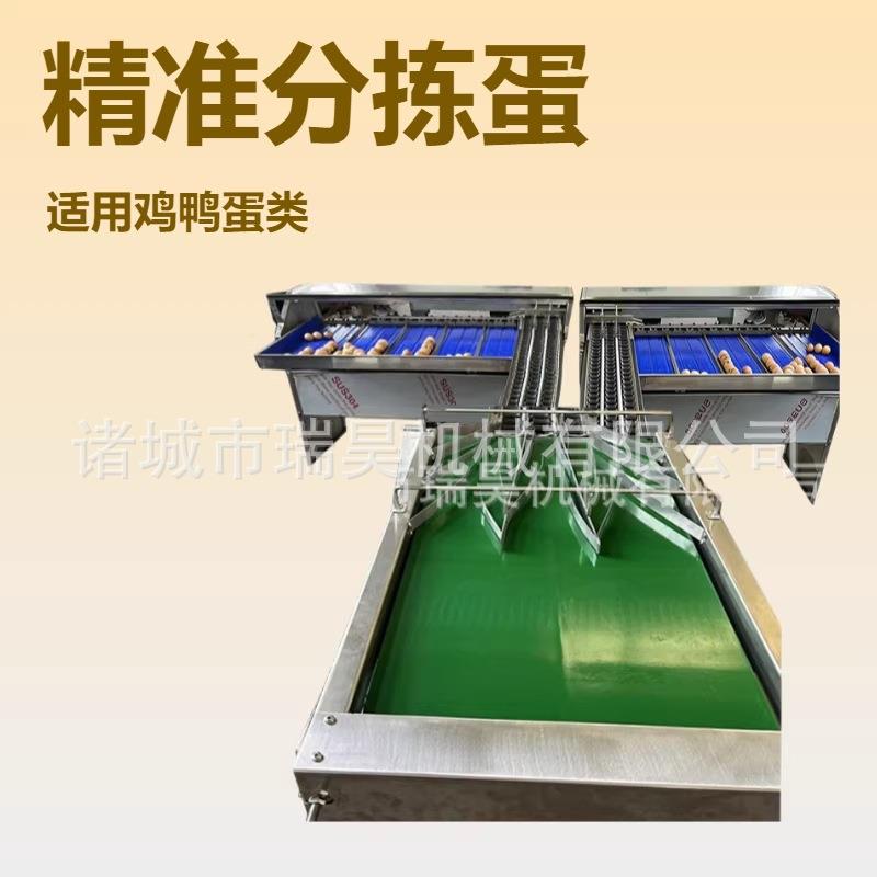 蛋品分选机与孵化配套设备鸡蛋鸭蛋称量分级设备鸭蛋分拣机