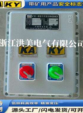 BBK系单相矿用防爆行灯变压器带开关设备380V220V变127V36V24V12V