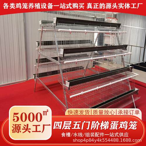 产蛋鸡笼阶梯式结构四层五门养殖场自动养殖大型禽类蛋鸡笼肉鸡笼