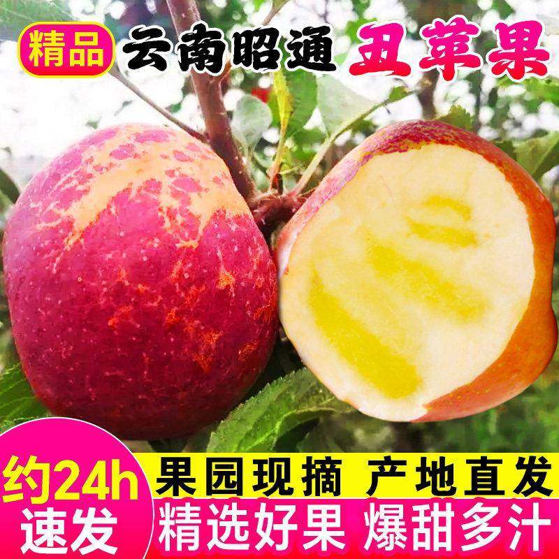 云南昭通丑苹果冰糖心苹果新鲜水果礼盒当季整箱10斤红露富士苹果,粮油调味/速食/干货/烘焙,其他烘焙半成品,淘宝优惠券,粉丝福利购,淘宝优惠卷