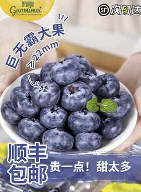 山地高原新鲜蓝莓王鲜果盒装应当季水果现摘现发孕妇整箱大果包邮
