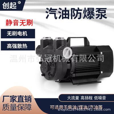 汽油防爆无刷静音抽油泵12V2220V车载加油机导油泵大流量自吸甲醇