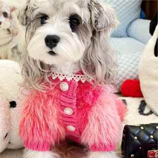 秋狗狗衣服毛衣物泰宠迪雪纳无品牌/瑞冬尔济斯比马熊约克夏博美