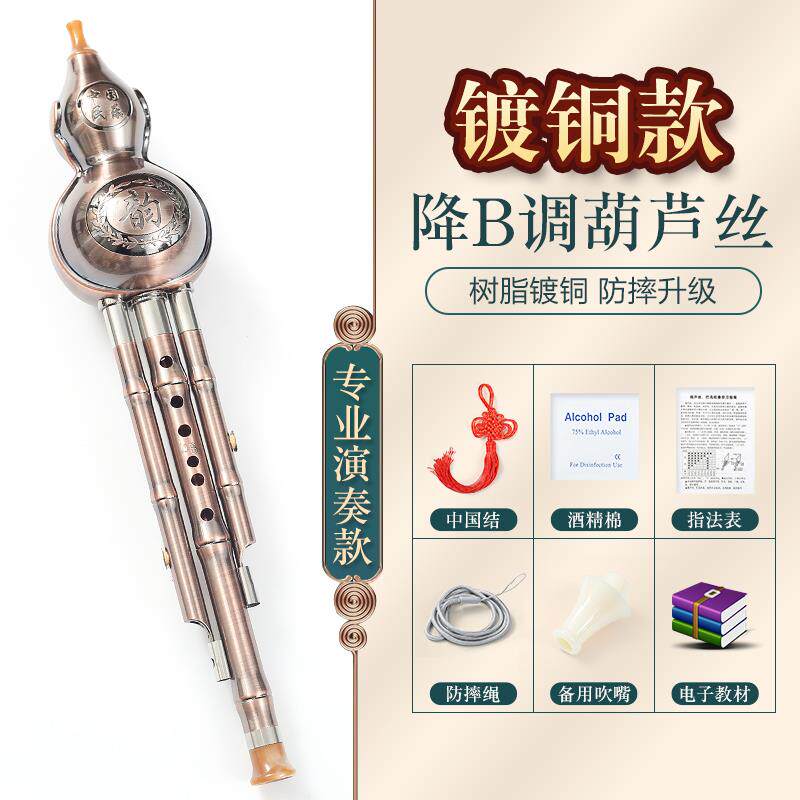高档银铜镀银葫丝芦C调B降学初级小生专镀业演奏型葫芦丝民族乐器图片