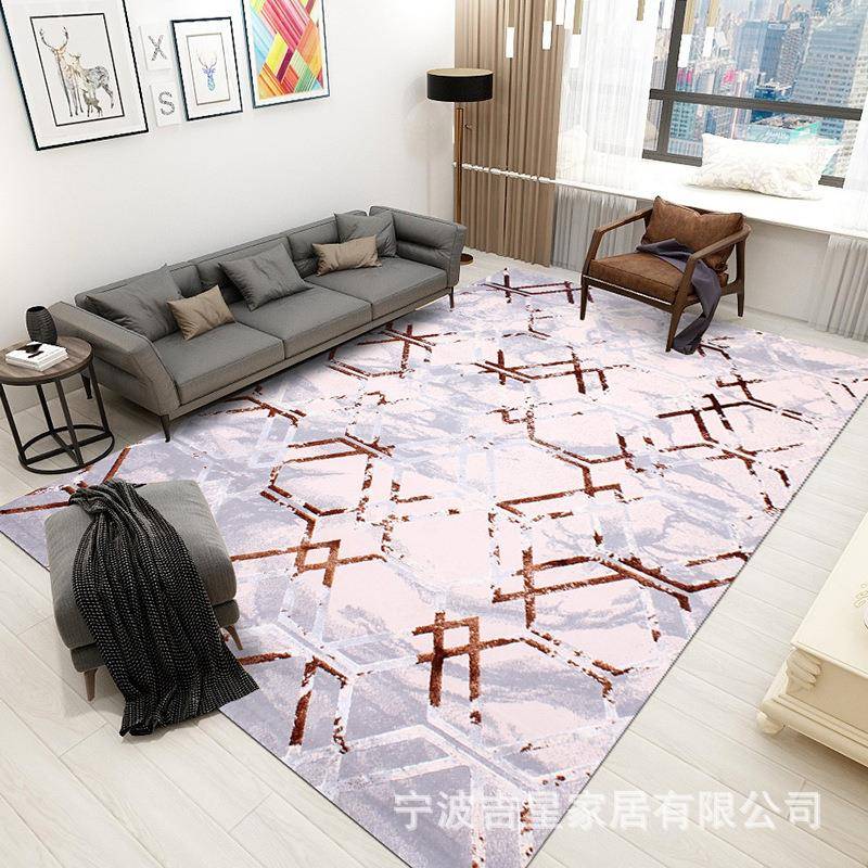 暖色轻奢家用简约现代客厅茶几地毯中式极简北欧卧室床边高档地毯