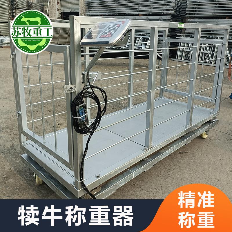 苏牧重工养殖设备犊牛称重器厂家养牛场用0-6个月小牛称重设备