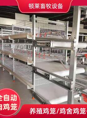 全自动肉鸡笼四层三层养殖场自动化肉鸡笼养殖设备清粪喂料养鸡笼
