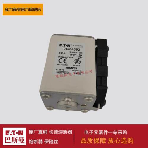 熔断器170M4392 170M4393 170M4394 170M4395 170M4396 170M4397