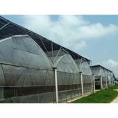 扎丝 温室大棚 包塑铁丝 绑葡萄架 骨架 扎线 厂家批发定制扎带