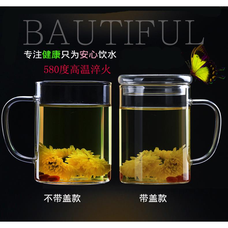普洱茶专用泡茶杯玻璃杯办公室水杯带把盖过滤茶水分离花茶杯家用