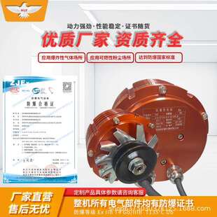 瑞朗特防爆发电机防爆车辆配件12V750W交流电机