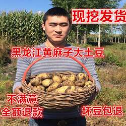 今年新土豆黑龙江东北农家土豆黄心大土豆黄麻子马铃薯5斤包邮
