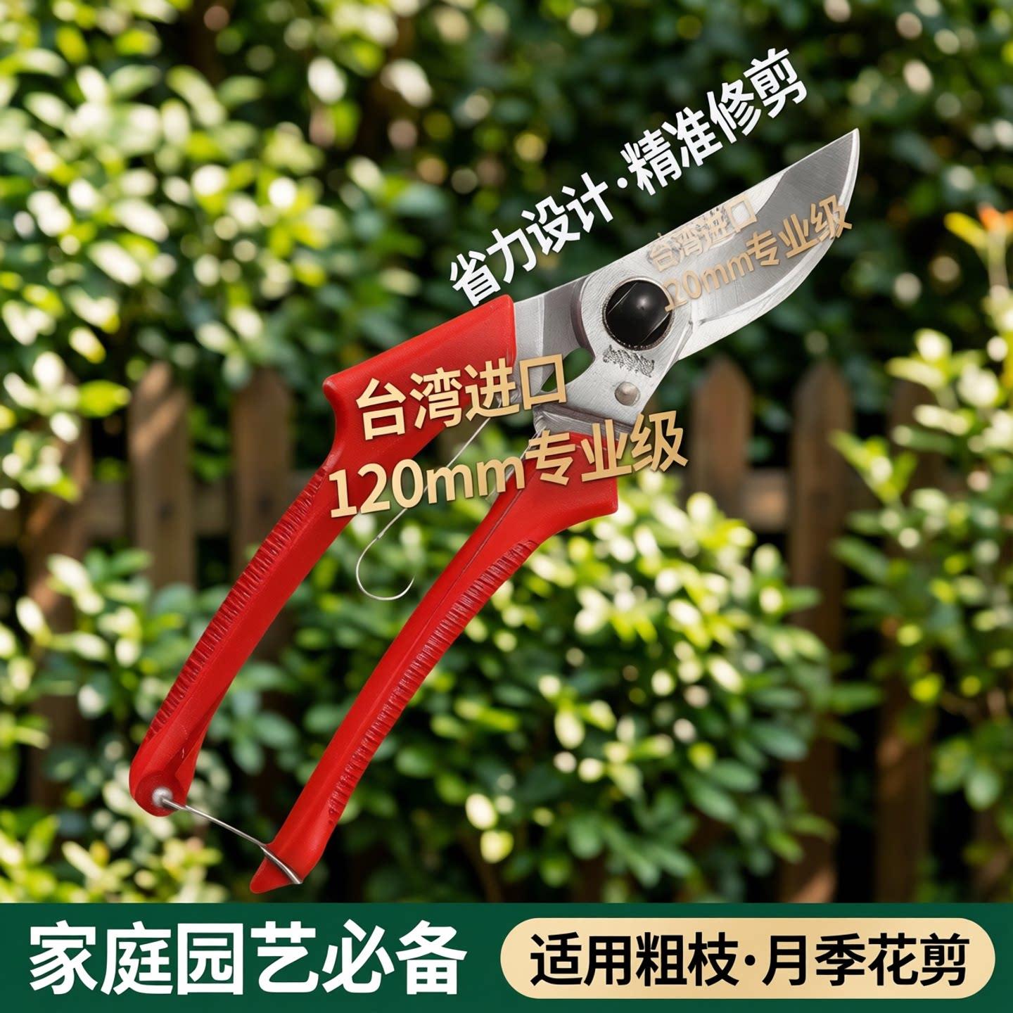 台湾120修枝剪园林果树粗枝剪刀家庭院苗圃进口园艺省力月季花剪图片