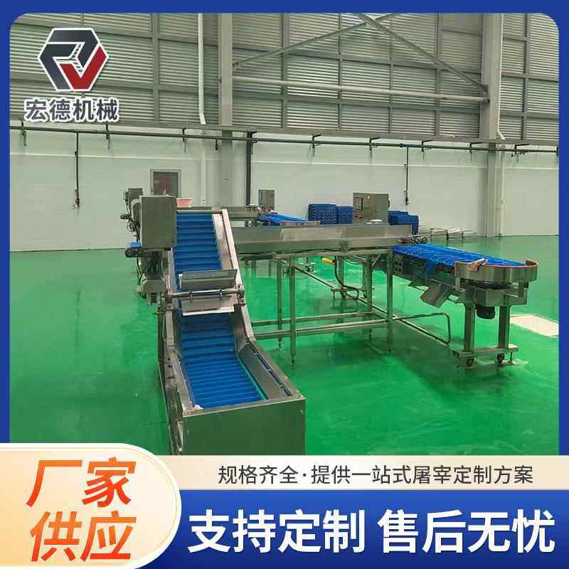 屠宰场大型淘汰蛋鸡宰杀设备家禽屠宰拔毛设备家禽自动脱毛生产线