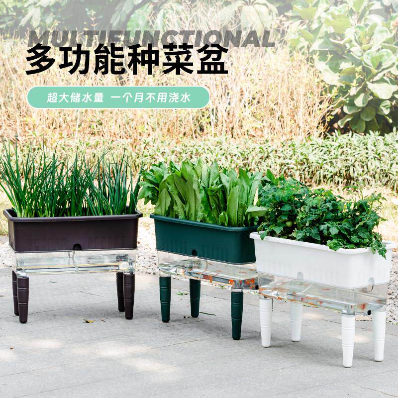 室内阳台种菜专用盆长方形自吸水懒人种花种蔬菜箱草莓特大号塑料