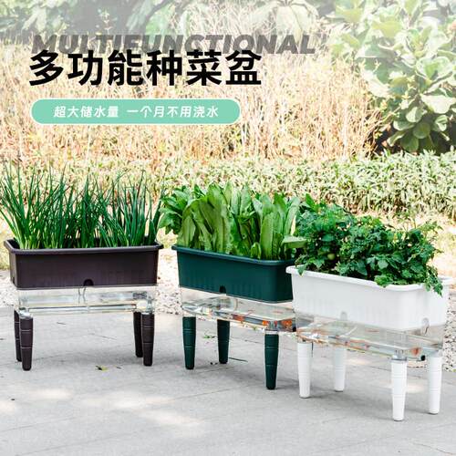 室内阳台种菜专用盆长方形自吸水懒人种花种蔬菜箱草莓特大号塑料