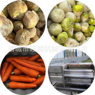 304不锈钢土豆芋头红薯去皮机 果蔬加工设备新品 推荐 土豆去皮机
