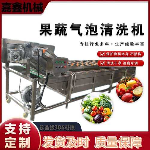新鲜蔬菜清洗机全自动不锈钢气泡清洗机多功能果蔬喷淋式清洗机