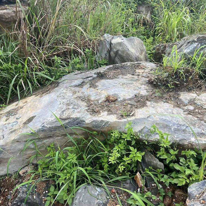 造景石天然野岸山石原石石老水皮石溪流驳庭院日式枯山黑皮老-山