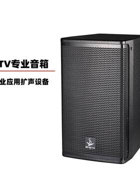 10寸12寸KTV专业音箱会议清吧包厢家用专业音响设备全频音箱