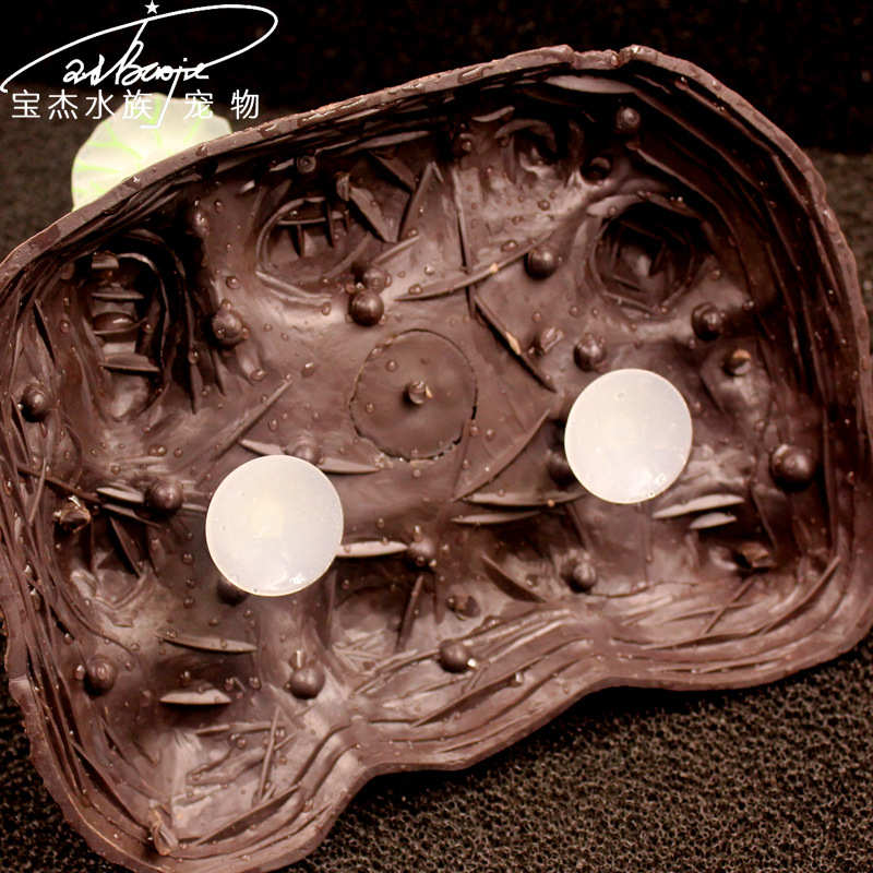 鱼缸宝观赏外贸批发杰鱼缸荧光珊瑚仿真造景装饰水草用品水族箱