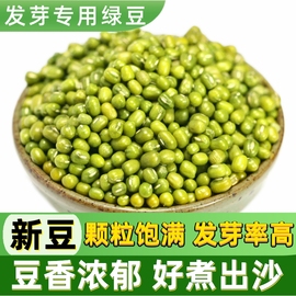 新货发芽绿豆500g 五谷杂粮绿豆发豆芽 做绿豆汤粥解暑打豆浆材料