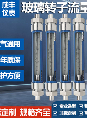 G10 25F气体浮子玻璃转子流量计 接液材质304 管道螺纹接头G1内丝