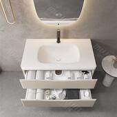 简约丽室耐一体单盆VWT浴柜组合洗手池洗脸卫生间洗双漱台可送装