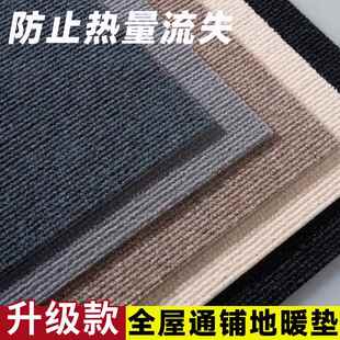 地暖保温垫冬天家用地板保暖客厅卧室房间全屋全铺通铺隔凉垫地毯