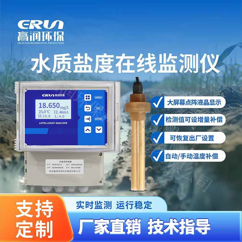 赢润环保水质盐度在线监测仪在线智能盐度仪电极法ERUN-SZ1S-A-N6