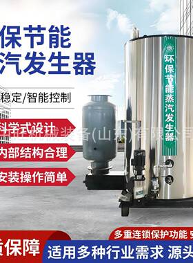 蒸汽锅炉192KW电蒸汽锅炉蒸汽机柴煤两用家用蒸汽锅炉