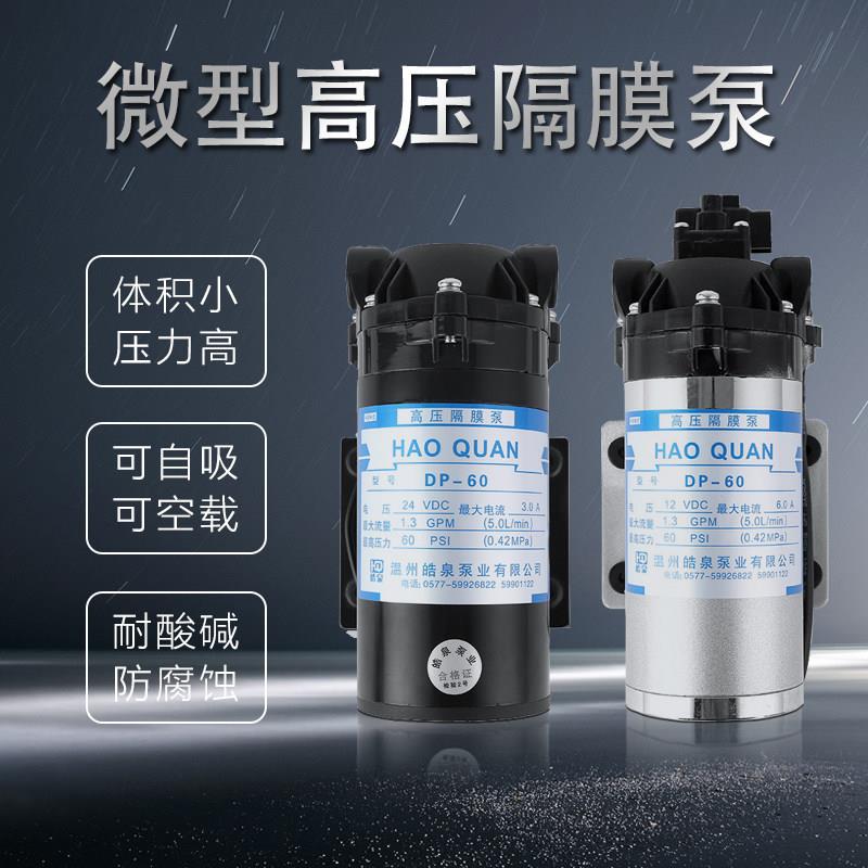 微型高压隔膜泵DP-60直流12V24V自吸泵加压喷雾泵洗车增压洒水泵